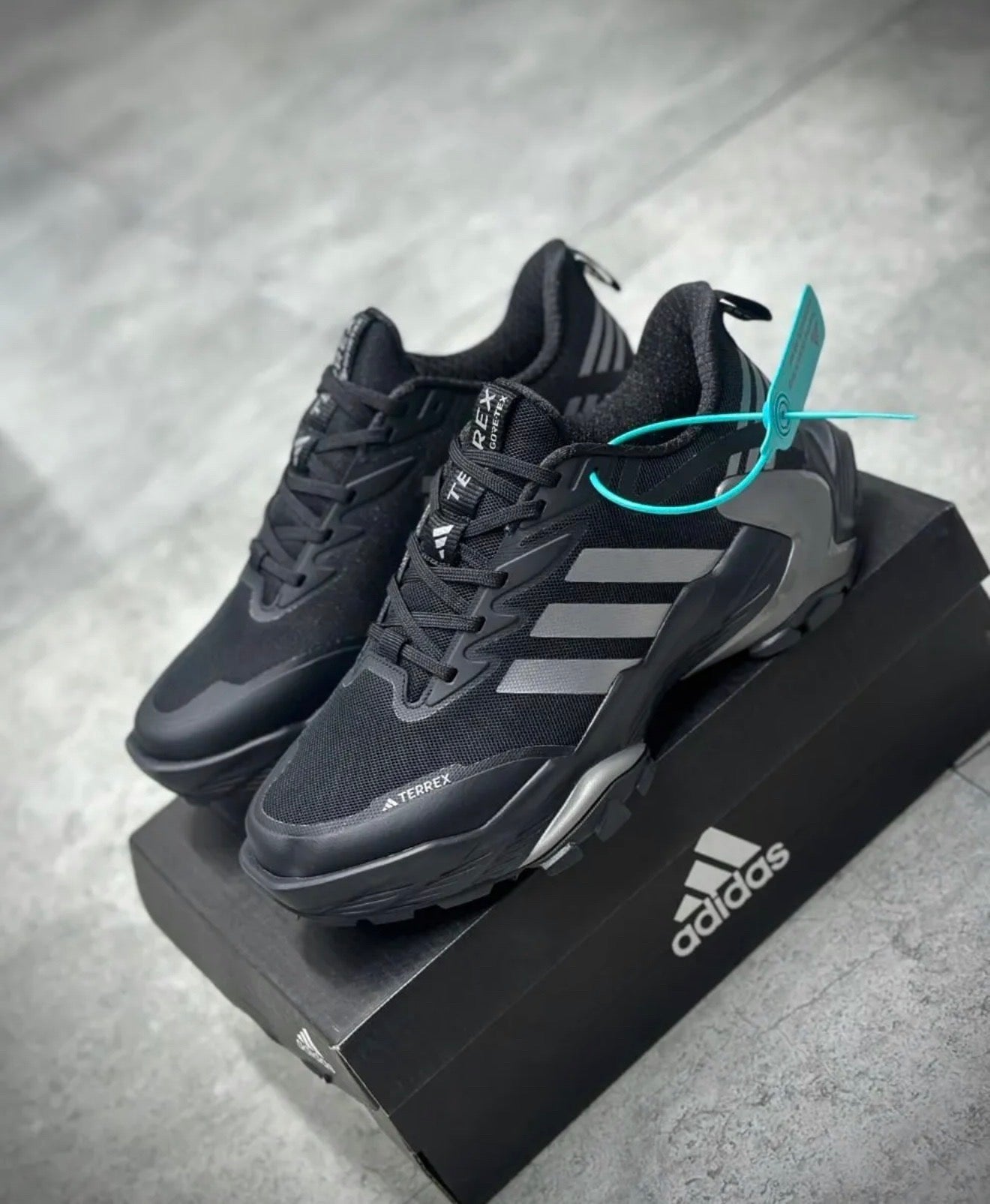 Adidas Terrex noires arborent trois bandes argentées distinctives sur les côtés.Marque/Modèle : Adidas Terrex