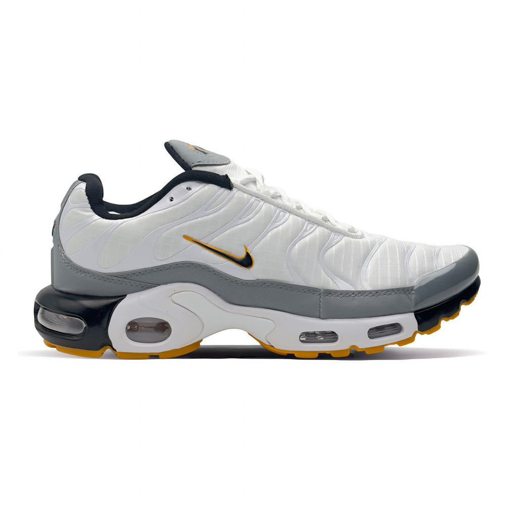 Nike Air Max Plus (communément appelée Nike TN)