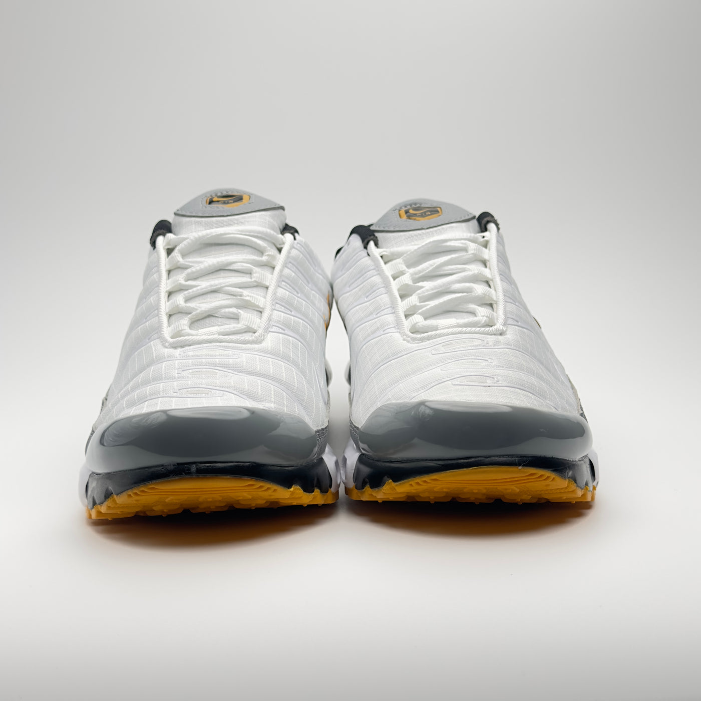Nike Air Max Plus (communément appelée Nike TN)
