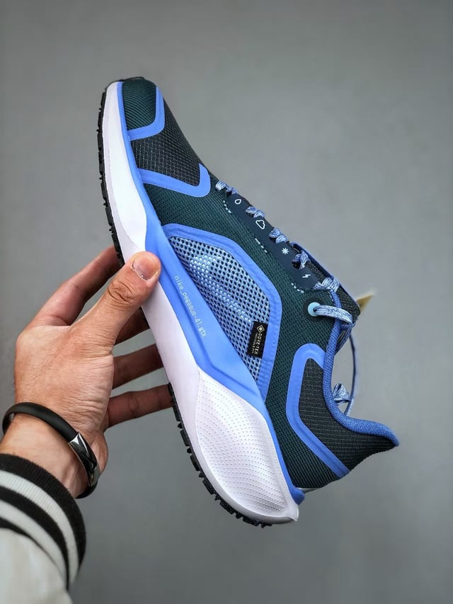 Nike Air Zoom Pegasus 41 GORE-TEX déclinée dans le coloris Cobalt Bliss / Metallic Red Bronze / Armory Navy