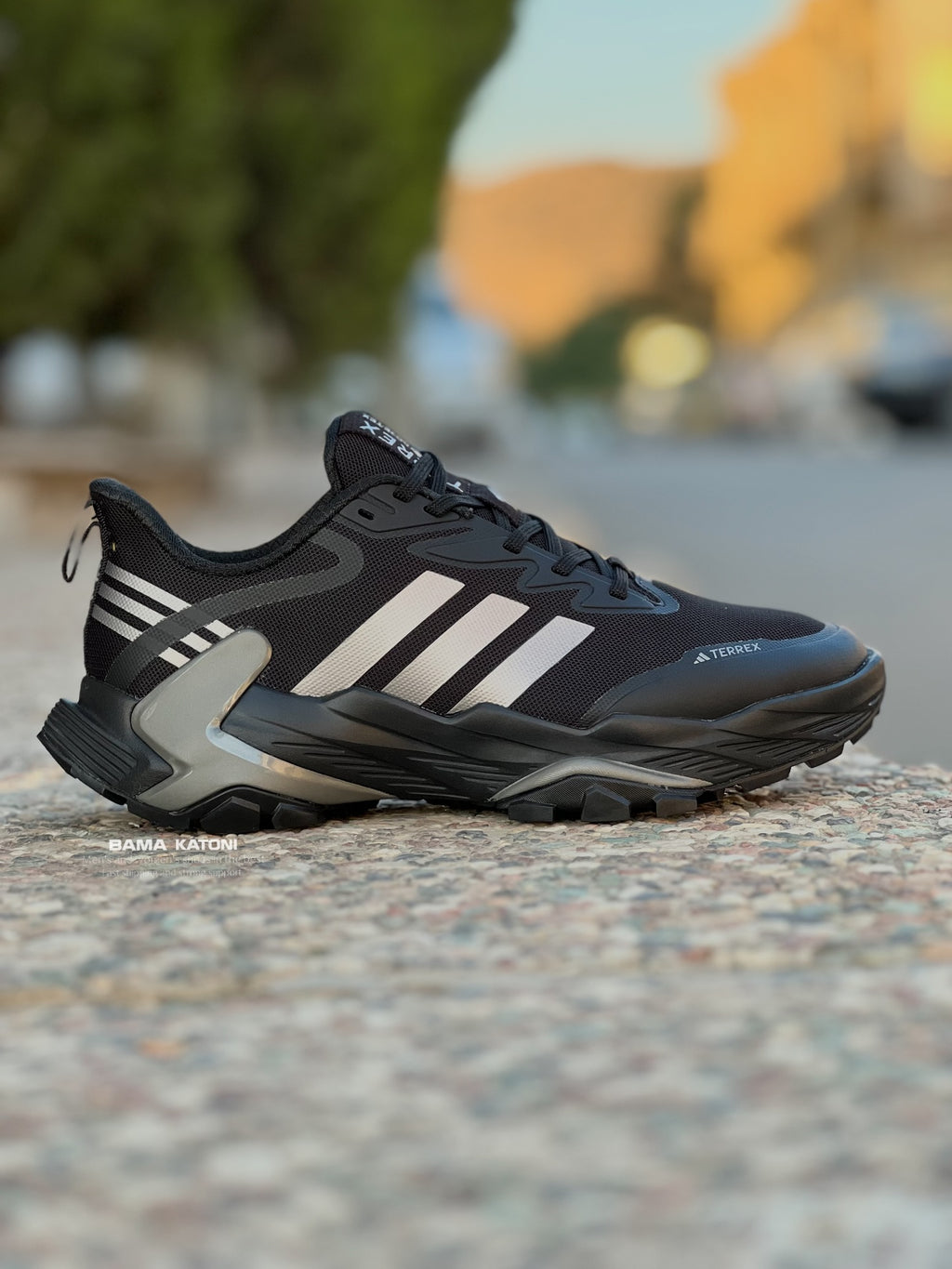 Adidas Terrex noires arborent trois bandes argentées distinctives sur les côtés.Marque/Modèle : Adidas Terrex