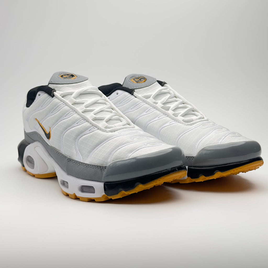 Nike Air Max Plus (communément appelée Nike TN)