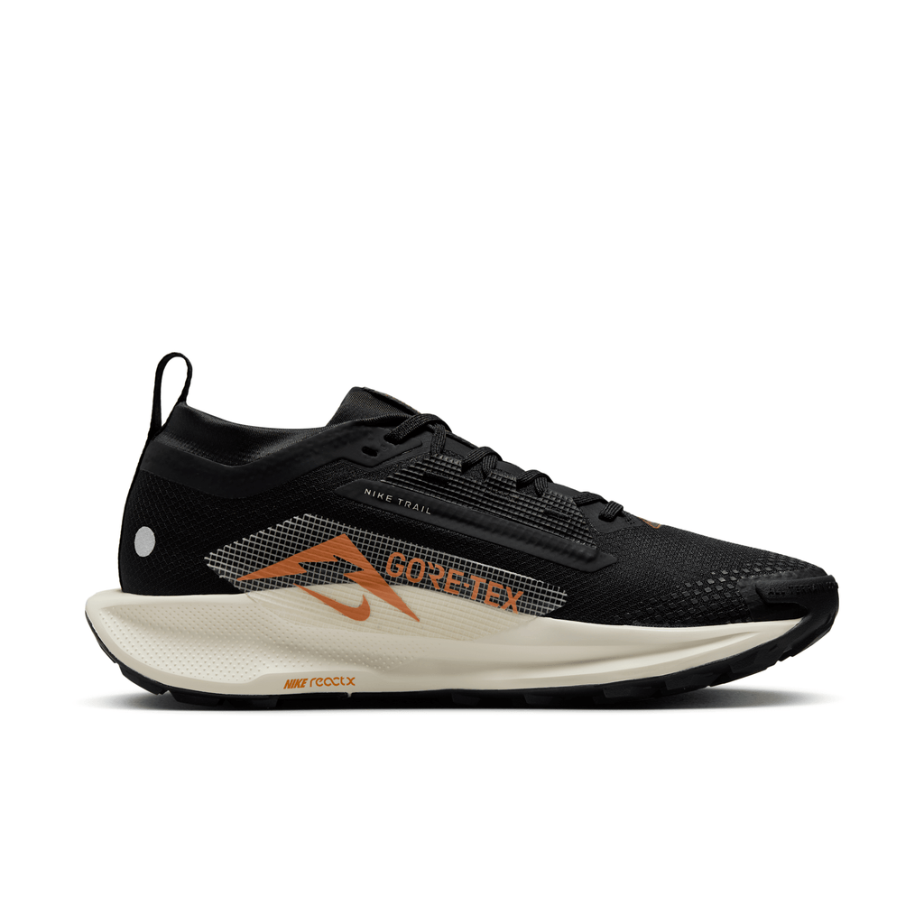 Nike Pegasus Trail 5 GORE