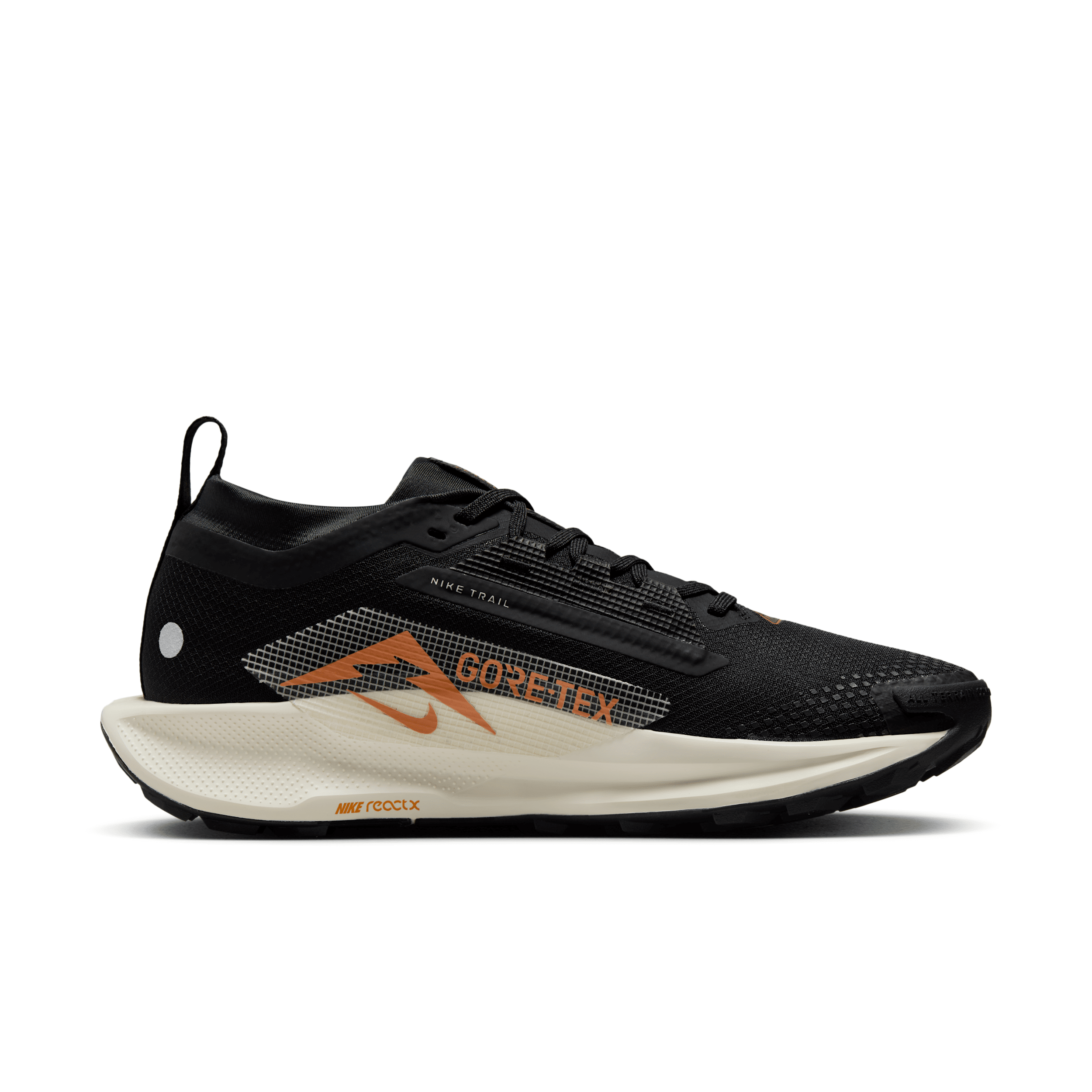 Nike Pegasus Trail 5 GORE
