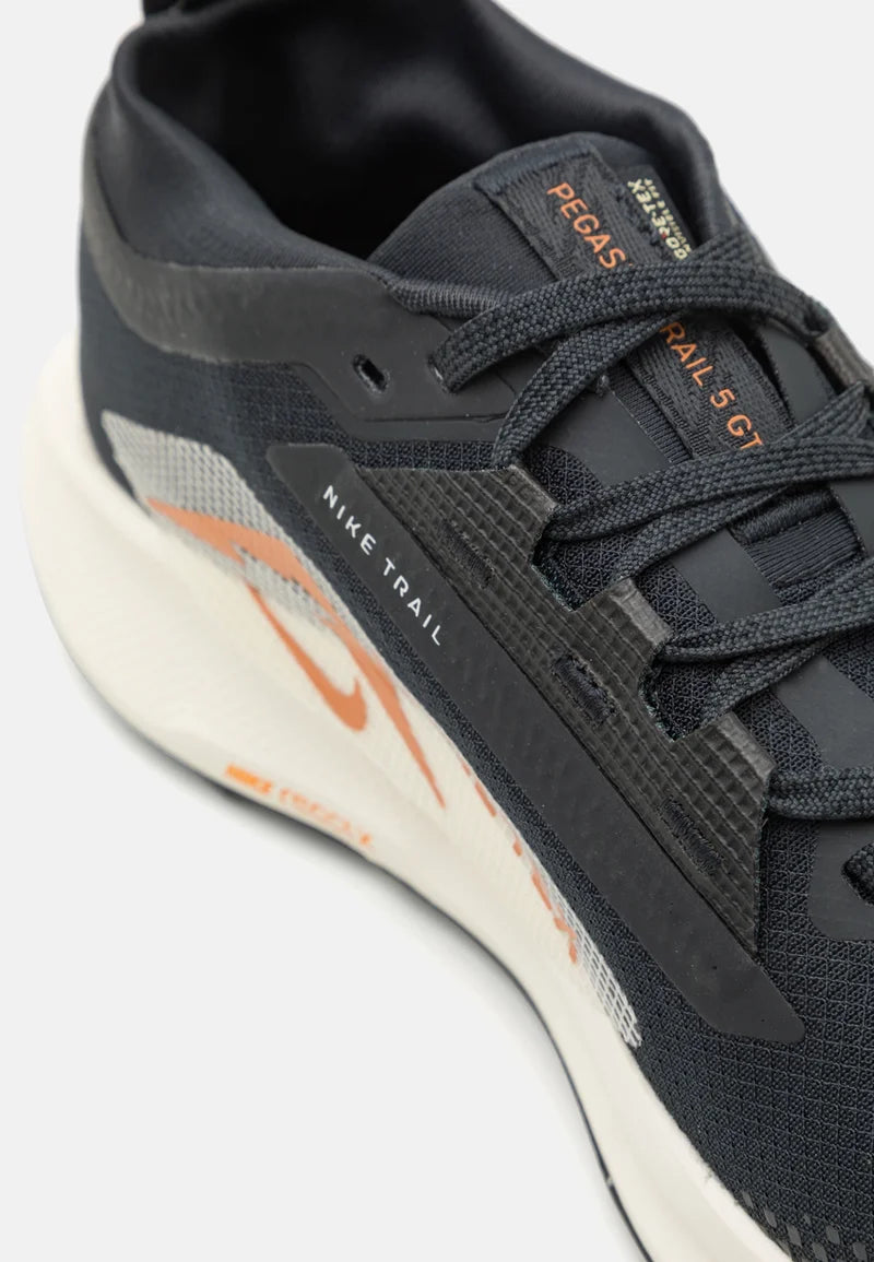 Nike Pegasus Trail 5 GORE