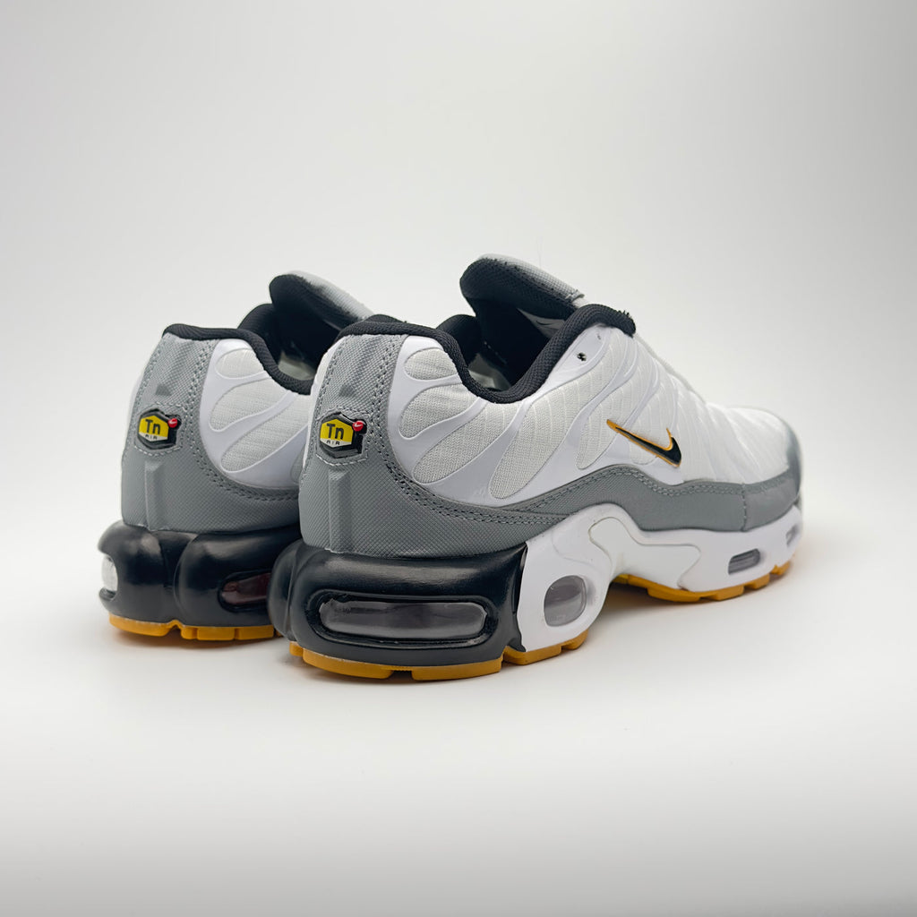 Nike Air Max Plus (communément appelée Nike TN)