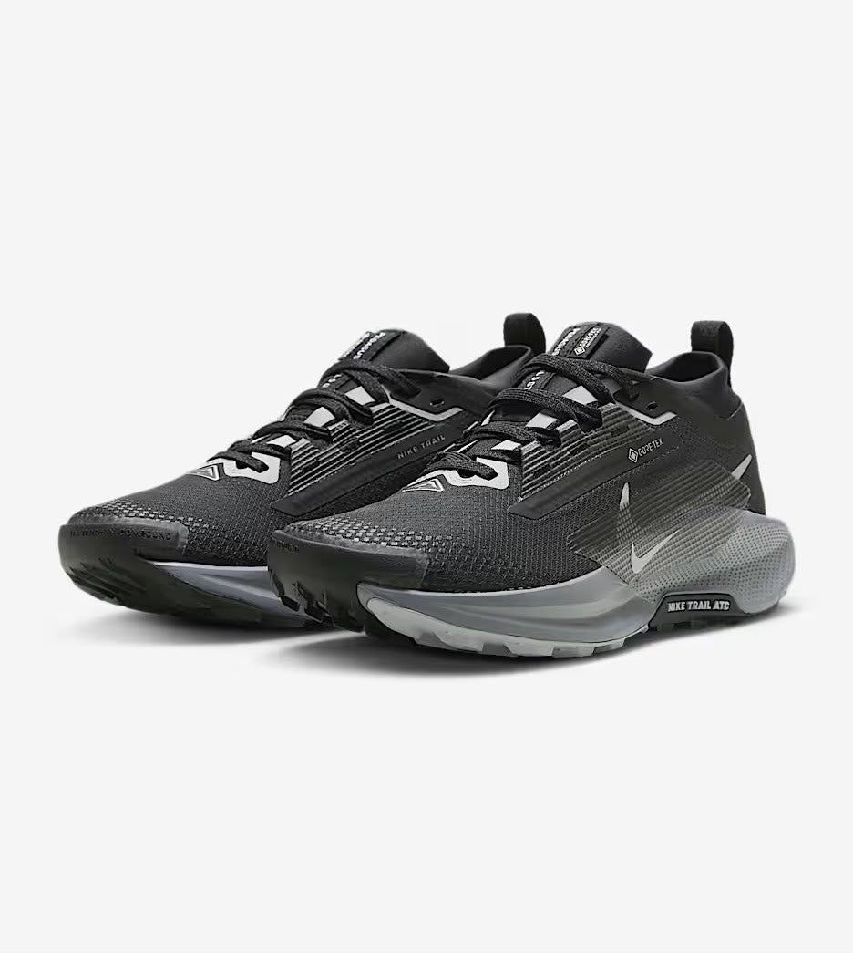 Nike Pegasus Trail 5 GORE-TEX