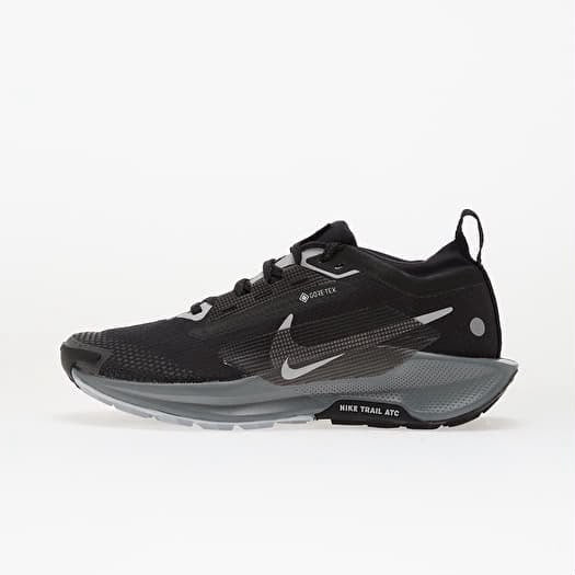 Nike Pegasus Trail 5 GORE-TEX